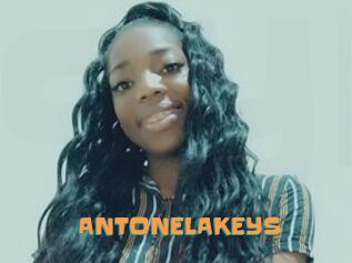 ANTONELAKEYS