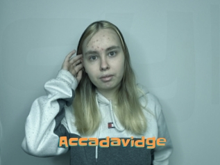 Accadavidge