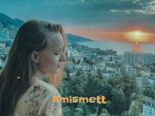 Amismett