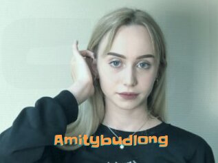 Amitybudlong