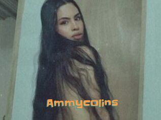 Ammycolins