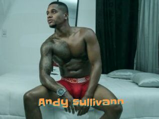 Andy_sullivann