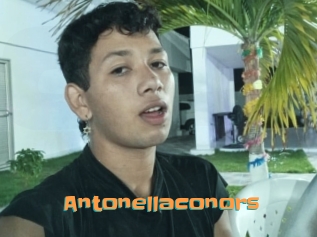 Antonellaconors