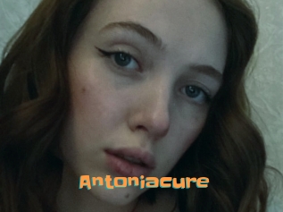 Antoniacure