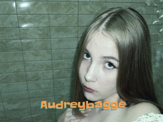 Audreybagge