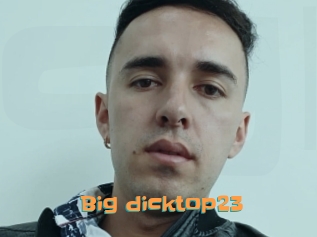 Big_dicktop23