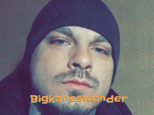 Bigkaneswonder