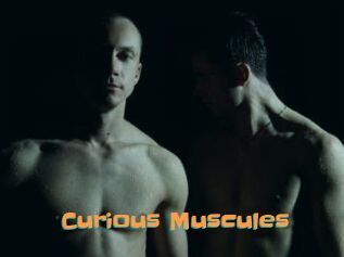 Curious_Muscules