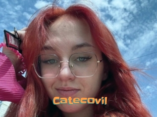 Catecovil