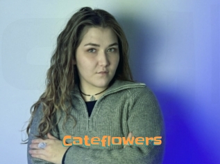 Cateflowers