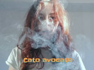 Cato_avocato