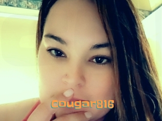 Cougar816