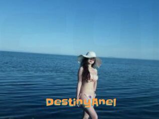 DestinyAnel