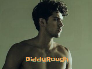 DiddyRough