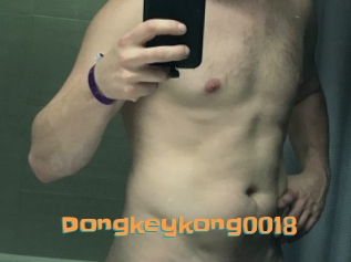 Dongkeykong0018