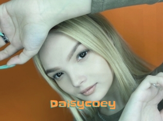 Daisycoey