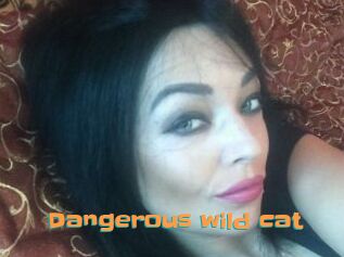 Dangerous_wild_cat