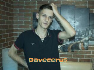 Davecerus