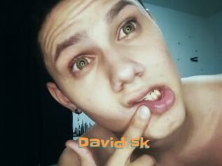 David_sk