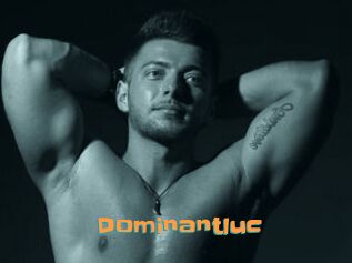 Dominantluc