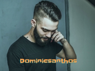 Dominicsanthos