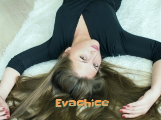 Evachice