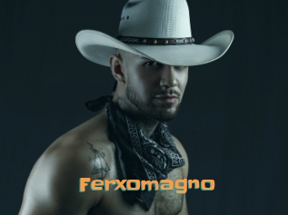 Ferxomagno