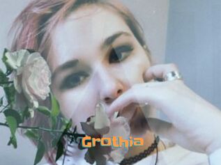 Grothia