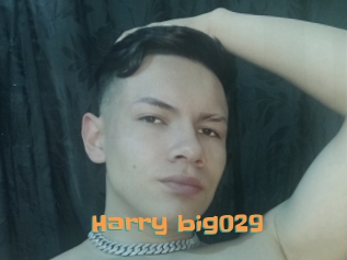 Harry_big029