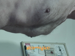 Hornyke