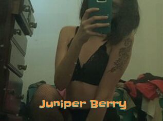 Juniper_Berry