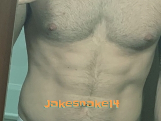 Jakesnake14