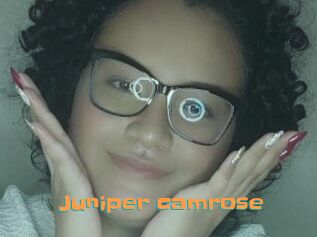 Juniper_camrose