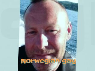 Norwegian_gay