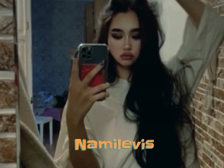 Namilevis