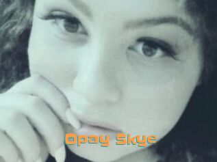 Opay_Skye