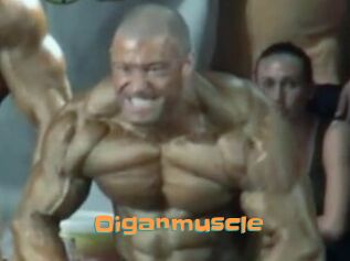 Oigan_muscle