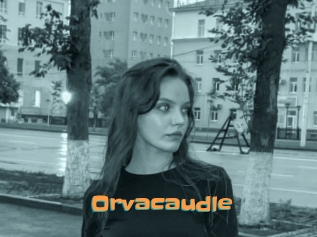 Orvacaudle