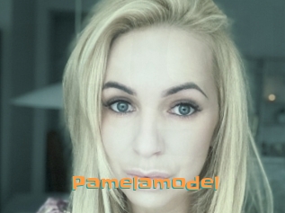 Pamelamodel