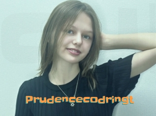 Prudencecodringt