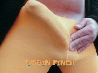 ROBIN_FINCH