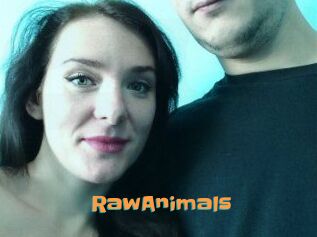 RawAnimals