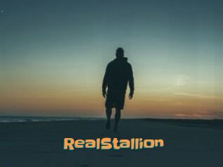 RealStallion