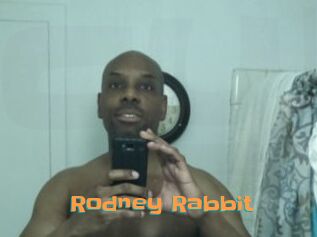 Rodney_Rabbit