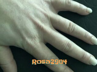 Rosa2904