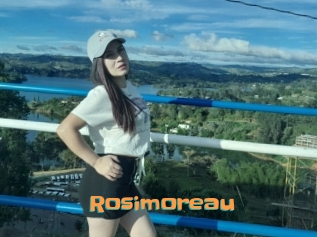 Rosimoreau