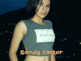 Sandy_Carter