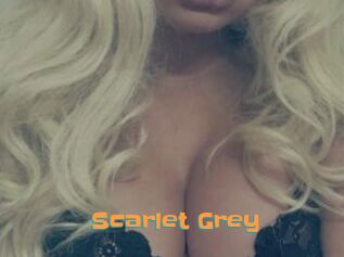 Scarlet_Grey