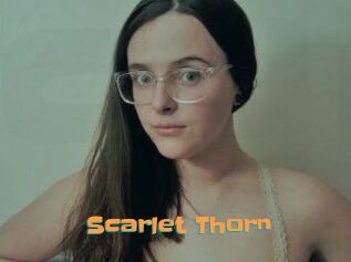 Scarlet_Thorn