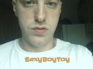 SexyBoyToy